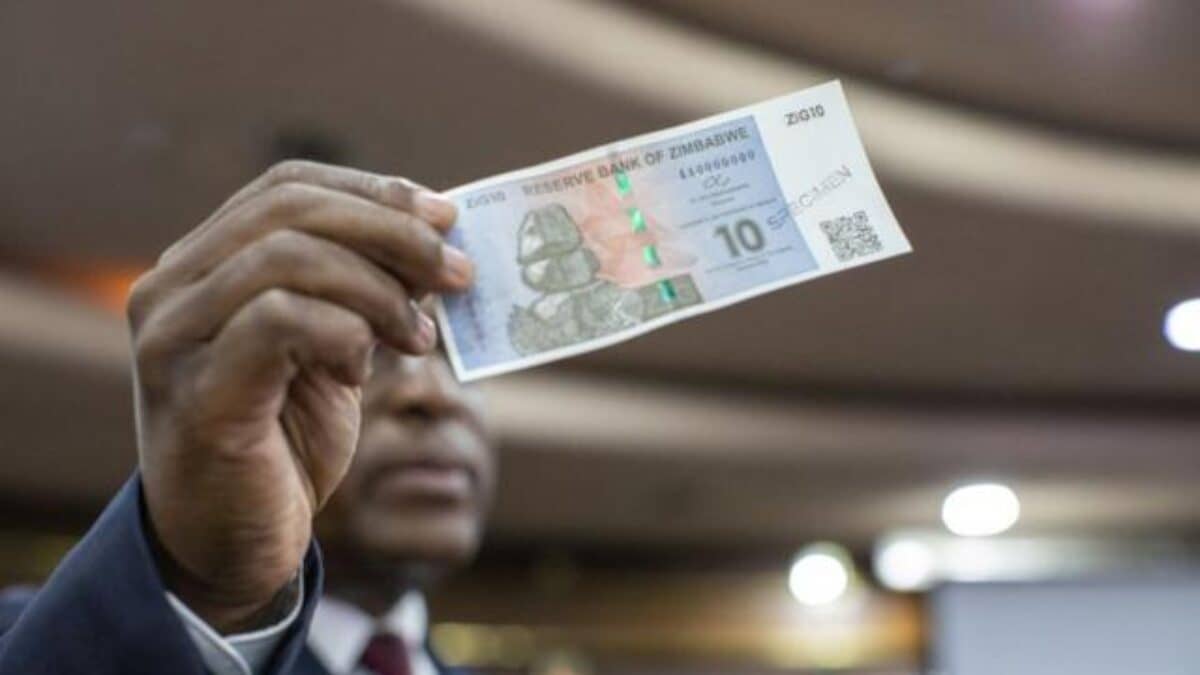 Zimbabwe : Lancement de la nouvelle monnaie ZiG crée un chaos dans la population