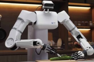 La Chine présente un robot exceptionnel apte à exécuter des tâches minutieuses