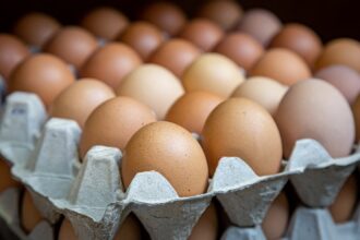 les prix des œufs en baisse