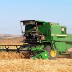 la production mondiale de céréales en baisse
