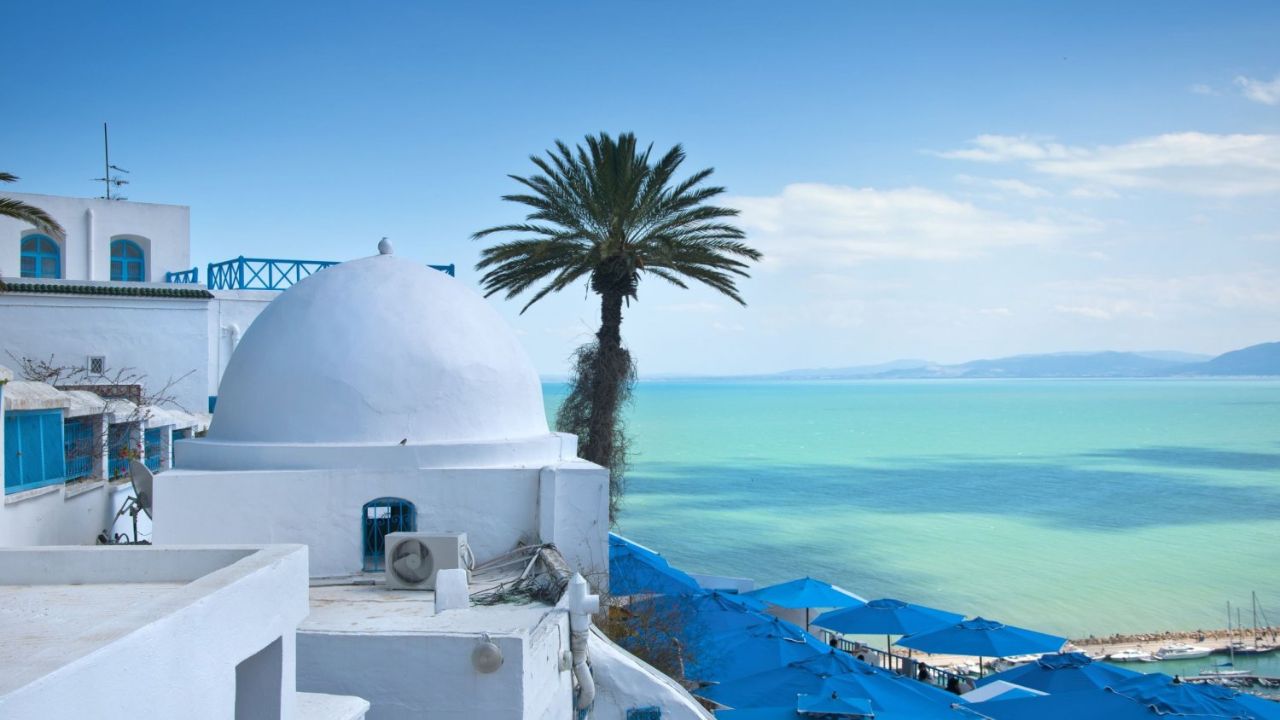 166 Entrepreneurs Soutenus pour le Tourisme Durable en Tunisie