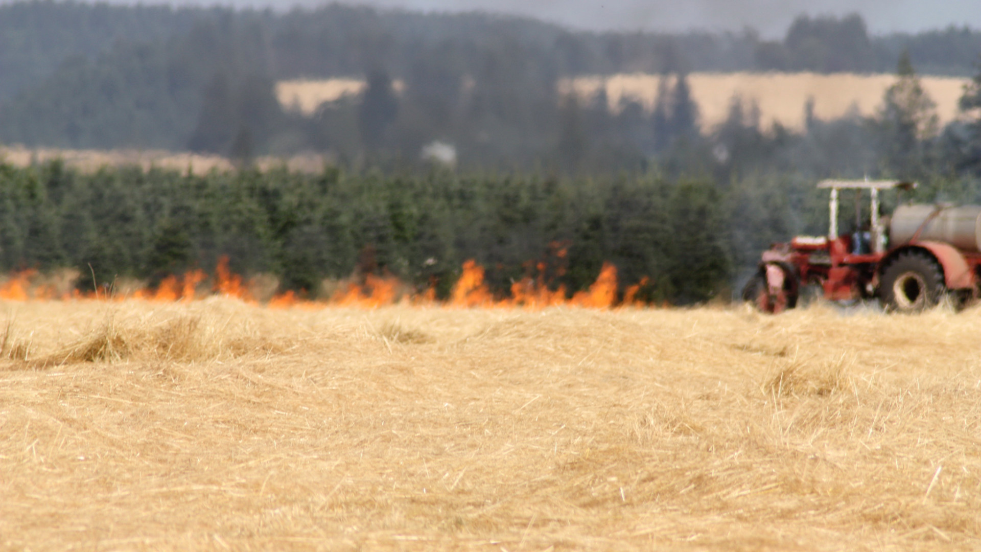 Béja Baisse des Incendies Agricoles