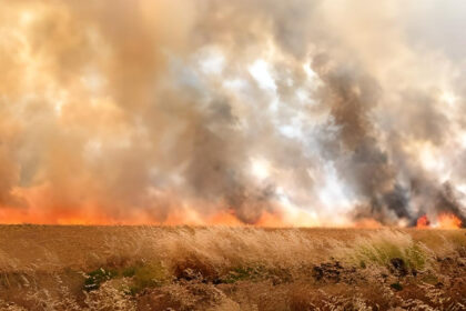 Incendies dans les champs