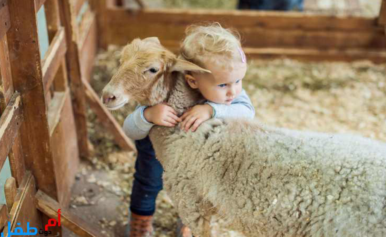 Impact psychologique du sacrifice sur les enfants