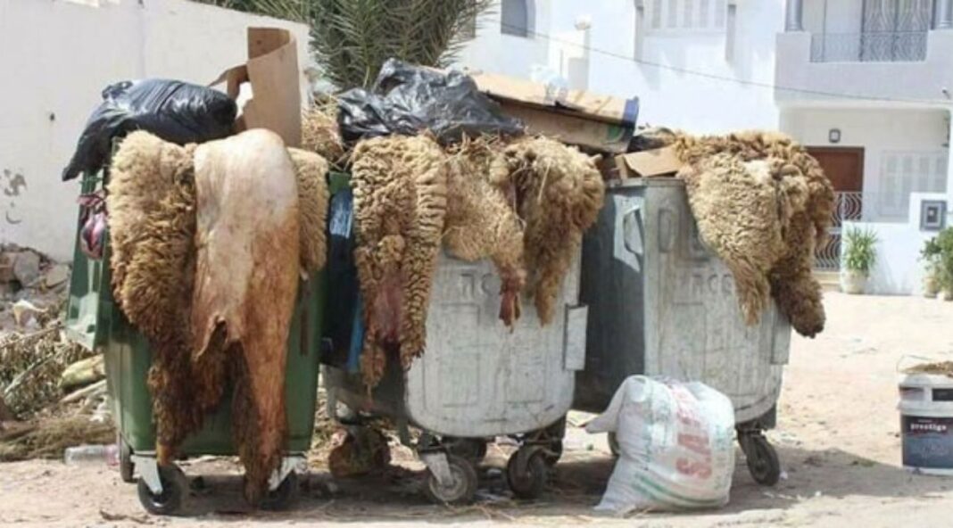 Municipalité de Tunis met en place un programme de collecte des ordures