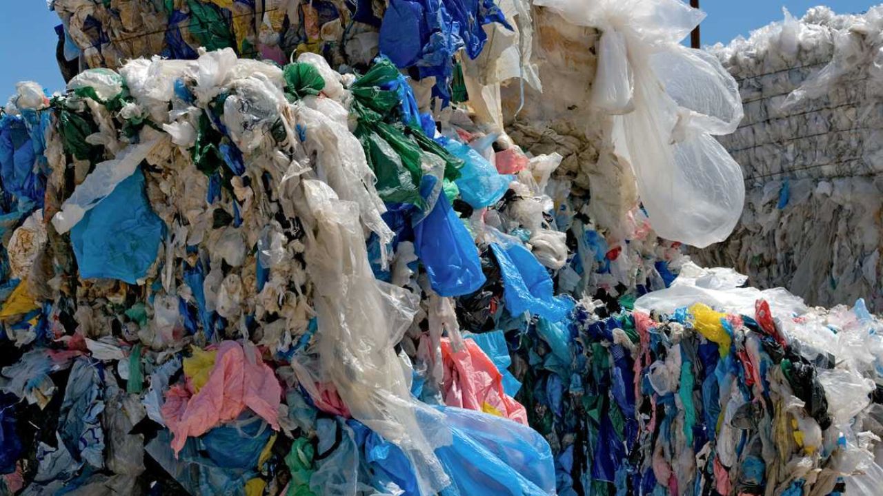Pollution Plastique en Tunisie : 60 Millions de Dinars de Pertes, 4,2 Milliards de Sacs Par An