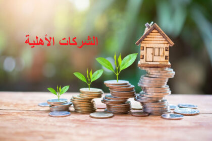 التشجيع على احداث شركات اهلية