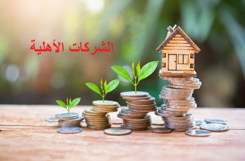 التشجيع على احداث شركات اهلية