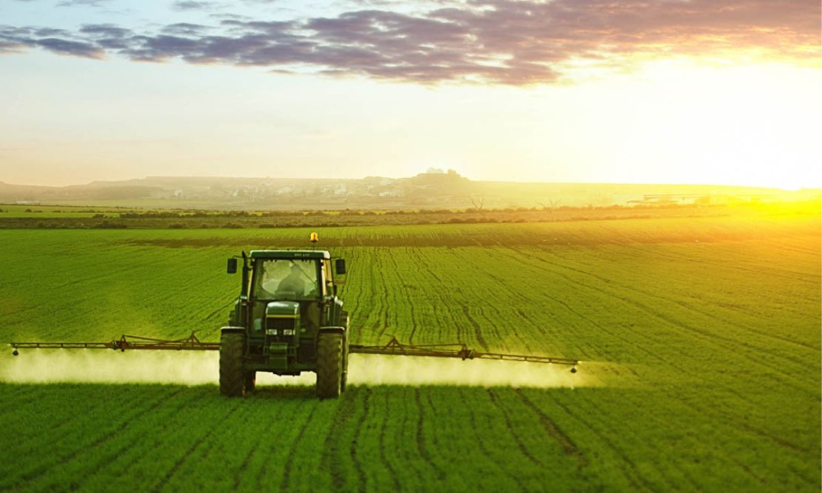 Baisse des Investissements Agricoles Privés