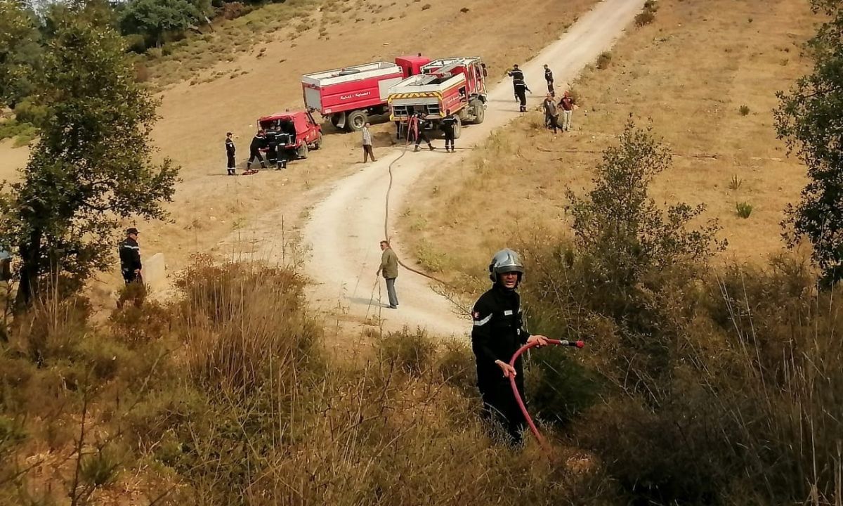 La Protection Civile tunisienne intervient pour éteindre un incendie en Algérie