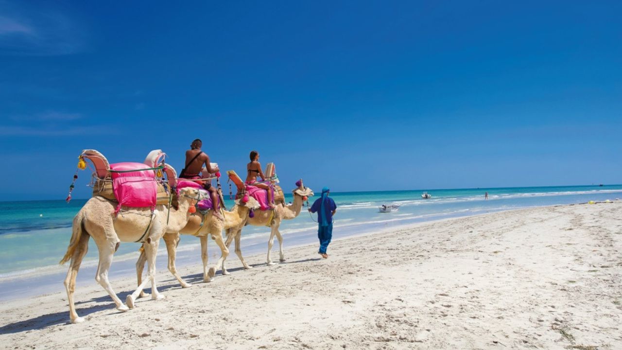 2801,1 millions de dinars : les revenus touristiques en Tunisie en hausse