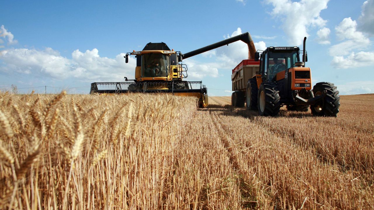 Agriculture en Tunisie : Une Croissance de 300% des Investissements au Premier Semestre 2024