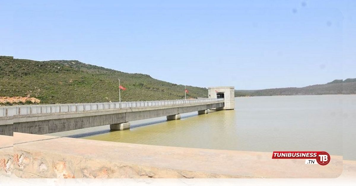 Tunisie : Le taux de remplissage des barrages chute à 23,2% selon l'Onagri