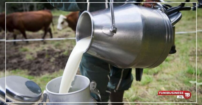 1000 Litres de Lait Contaminé par des Résidus d'Antibiotiques Saisis à Sidi Bouzid