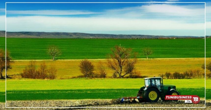 Béja : Retour du Salon régional de l'agriculture après une décennie d'absence