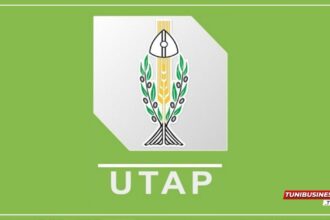 Carte Professionnelle de l'Agriculteur L'UTAP Soumet le Projet aux Ministères