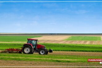 Investissements Agricoles : Diminution de 27,3% par Rapport à 2023