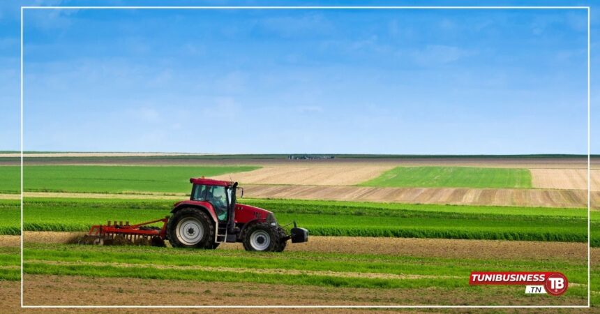 Investissements Agricoles : Diminution de 27,3% par Rapport à 2023