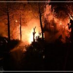 Tunisie : La Protection Civile Maîtrise 28 Incendies Hier