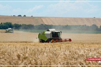 Zaghouan : 91 000 Hectares Prévus pour les Grandes Cultures pour la Saison 2024-2025