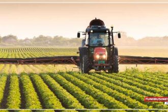 Zaghouan : Planification de 1000 Hectares pour les Légumes d’Hiver